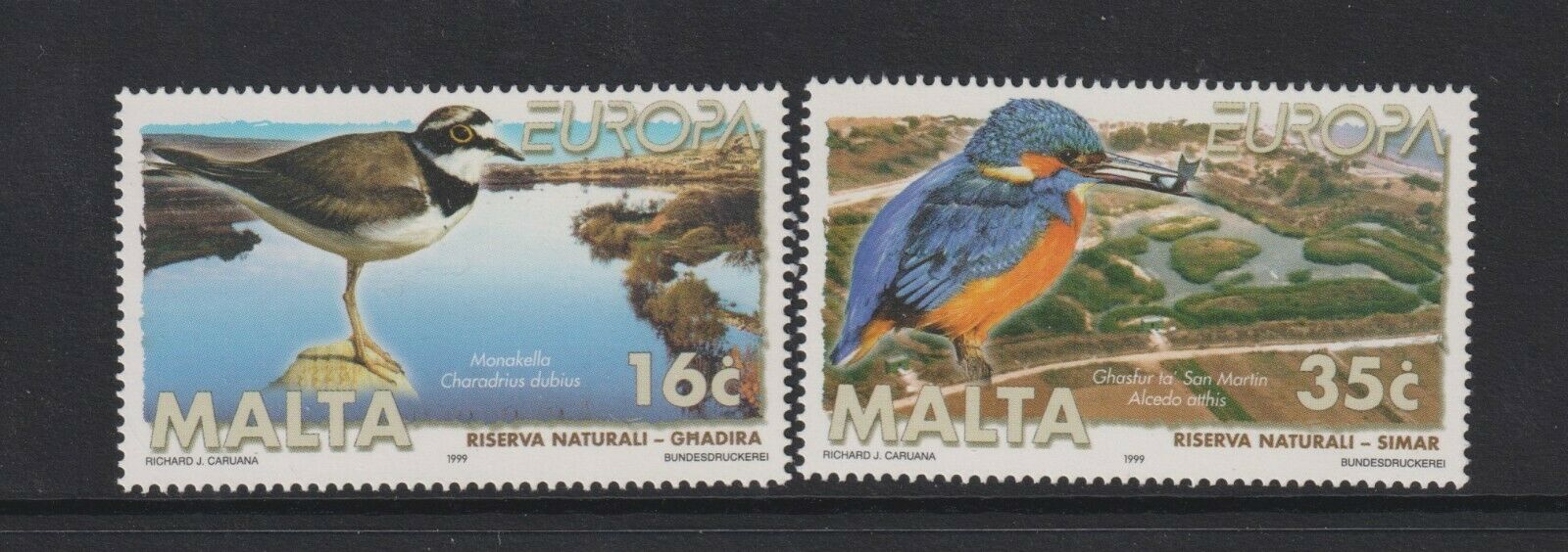 Malta - 1999, Europa, Parks & Gardens, Birds set - MNH - SG 1098/9