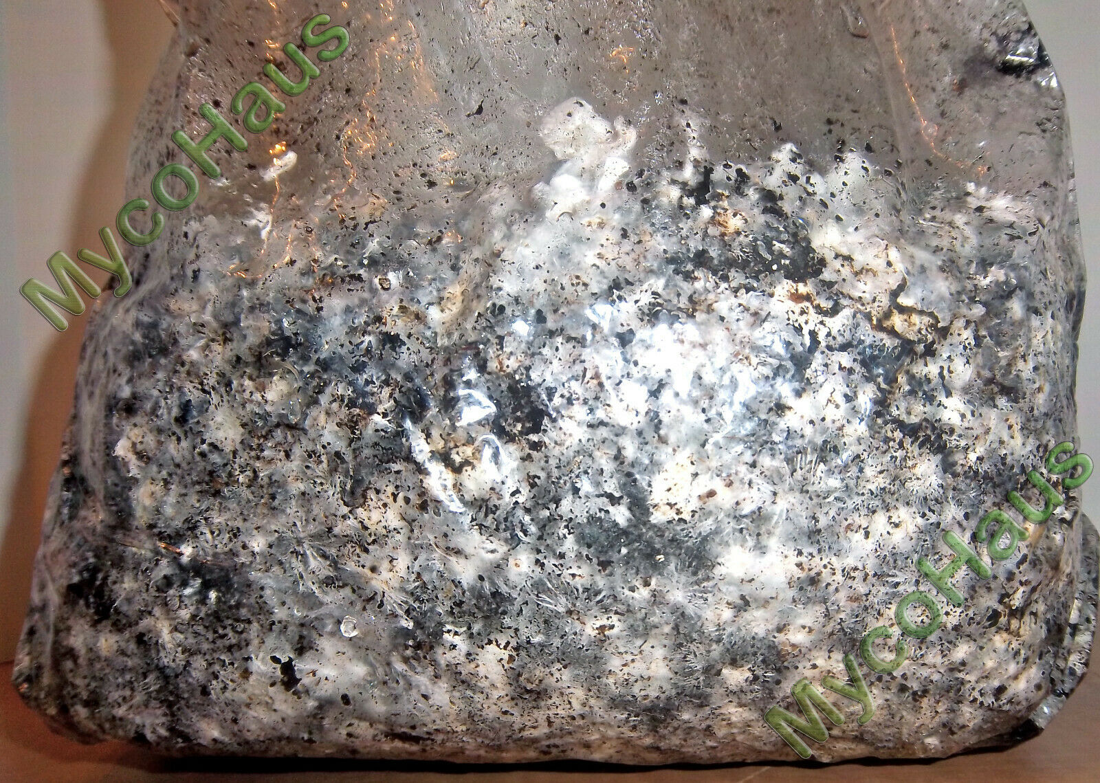 10 Pounds Sterilized Compost Bulk Mushroom Substrate Mycology Grow Kit Spawn Bag